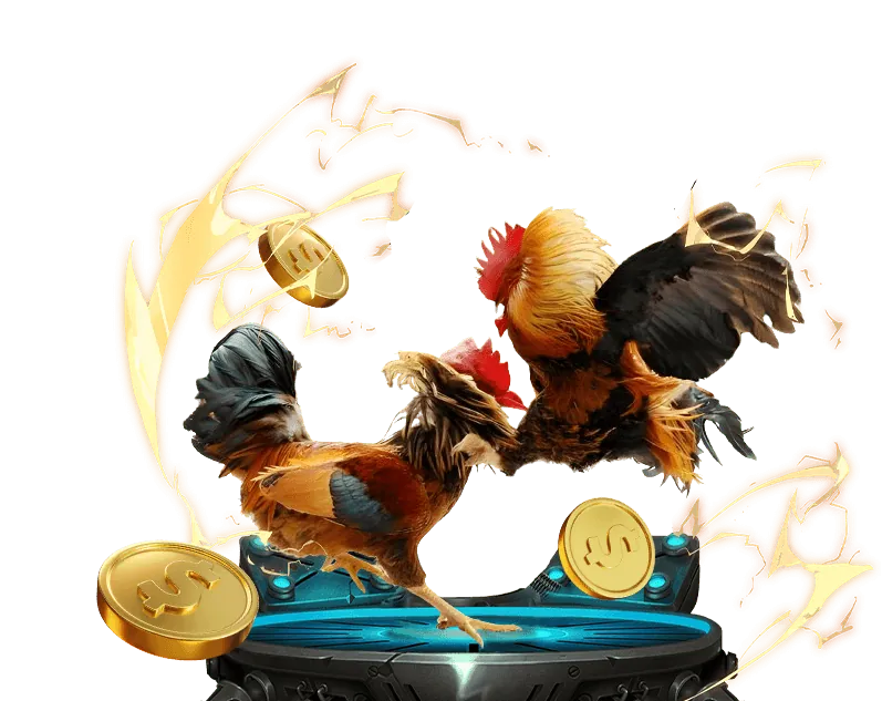 Hướng dẫn cá cược chi tiết